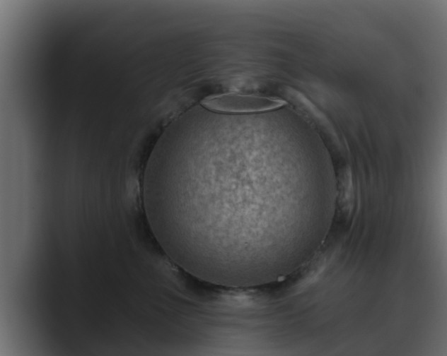 X0000089660523200706281323