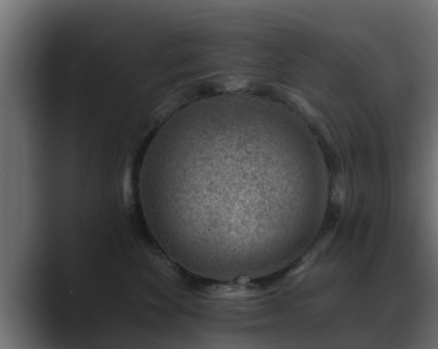X0000089660524200706281323