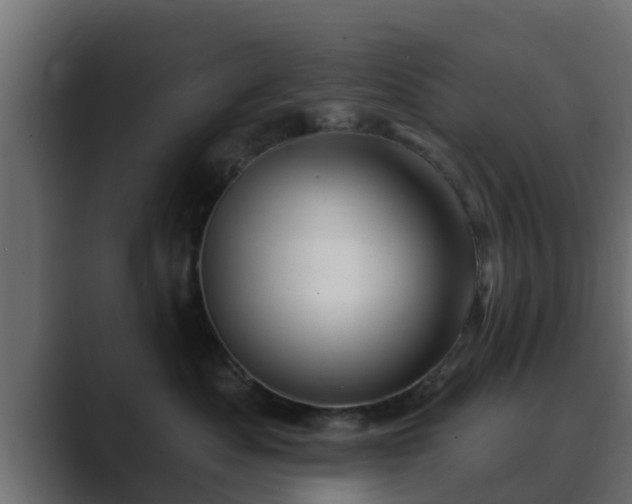 X0000089660525200706281323