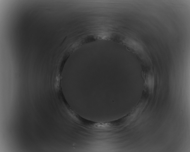 X0000089660526200706281323