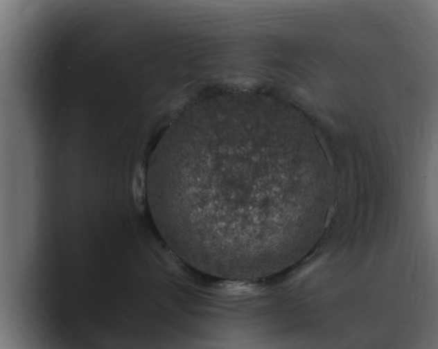 X0000089660528200706281323