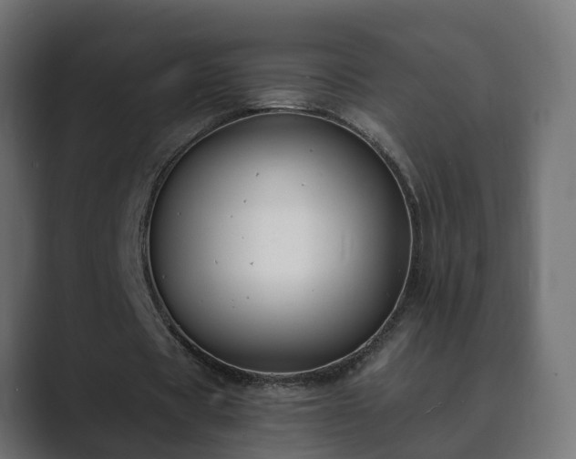 X0000089660529200706281323
