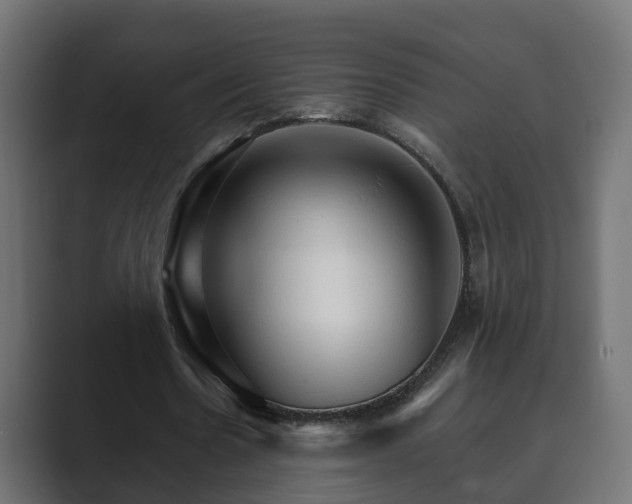 X0000089660530200706281323
