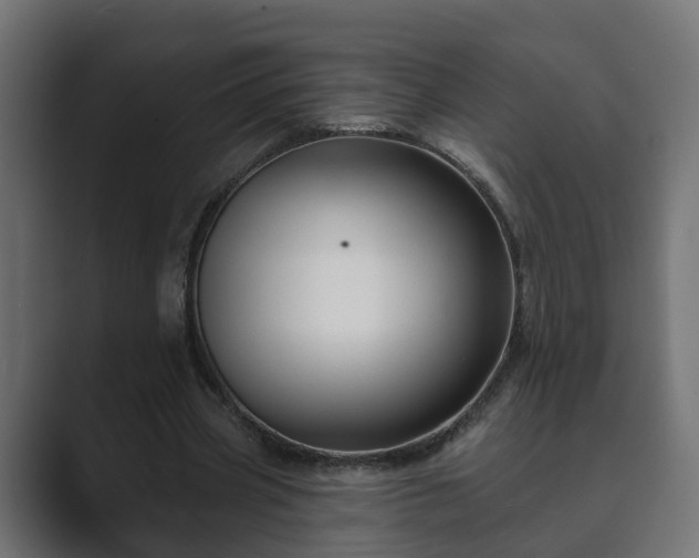 X0000089660533200706281323