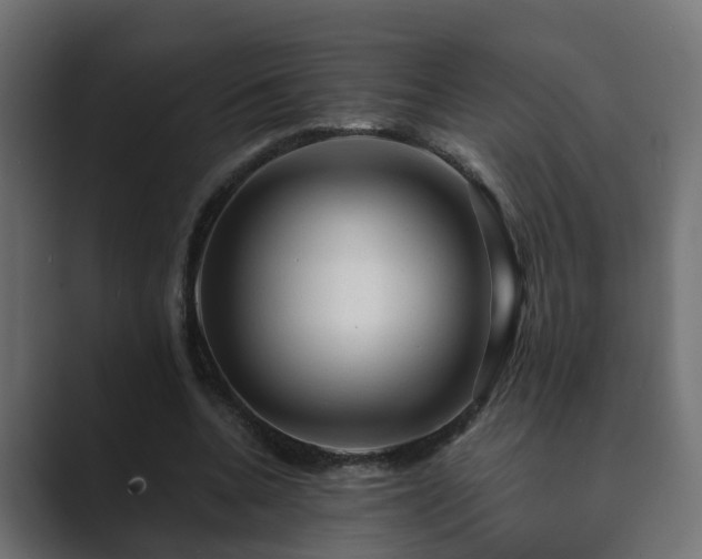 X0000089660536200706281323