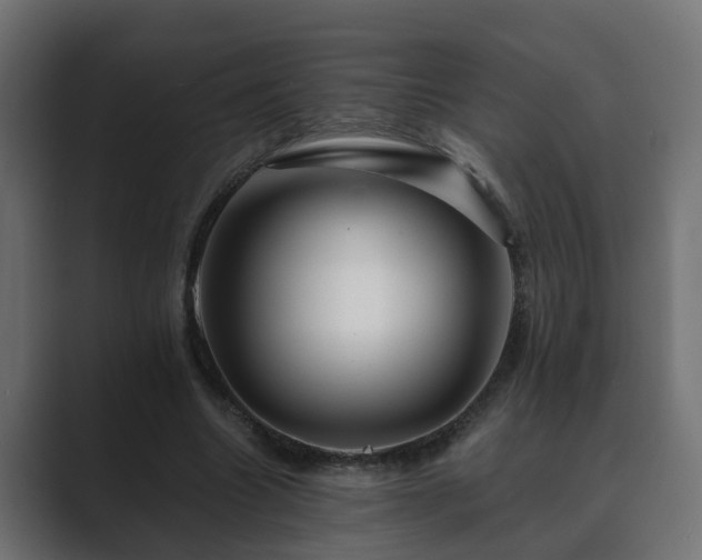 X0000089660538200706281323