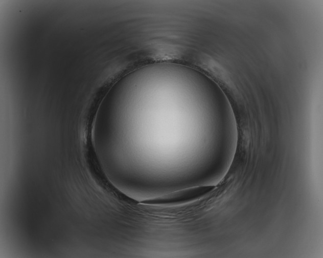 X0000089660539200706281323