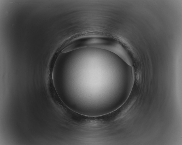 X0000089660540200706281323