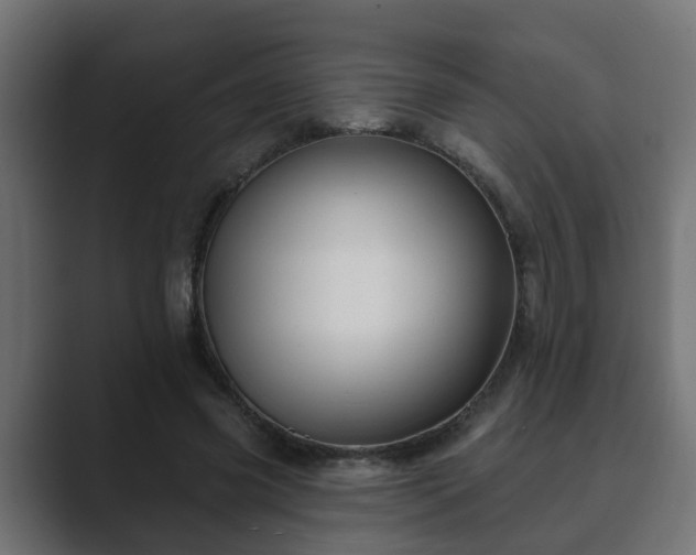 X0000089660541200706281323