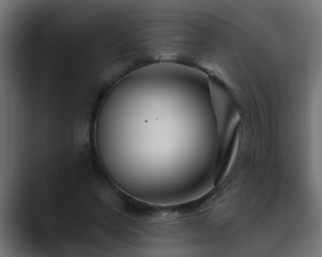 X0000089660543200706281323