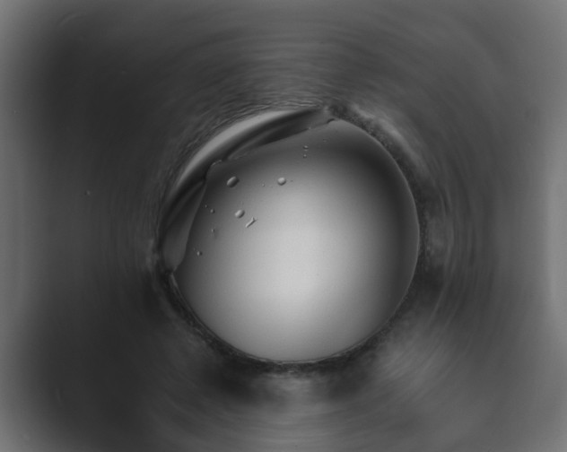 X0000089660545200706281323