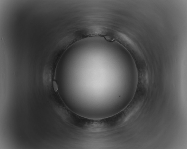 X0000089660546200706281323