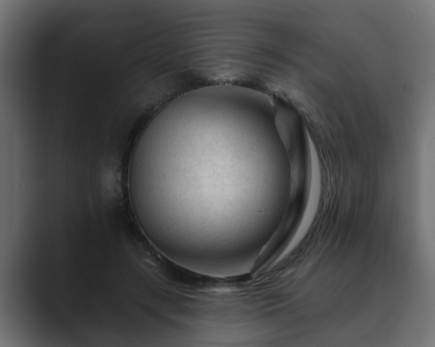 X0000089660547200706281323