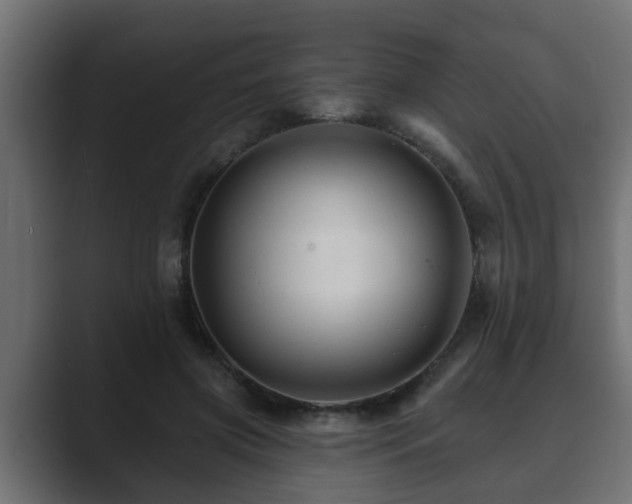 X0000089660549200706281323