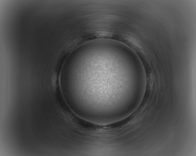 X0000089660550200706281323