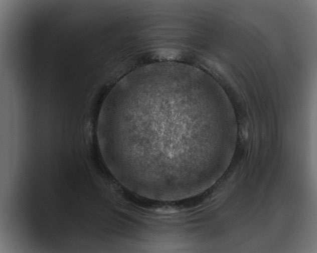 X0000089660551200706281323