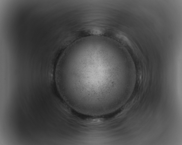 X0000089660553200706281323