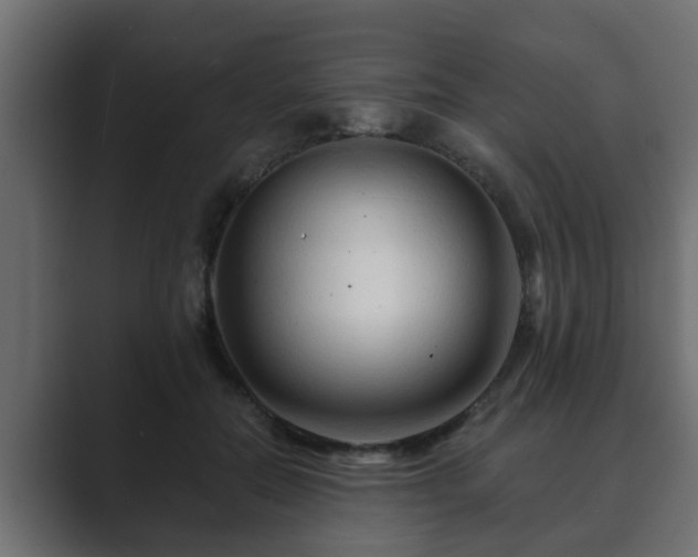 X0000089660554200706281323