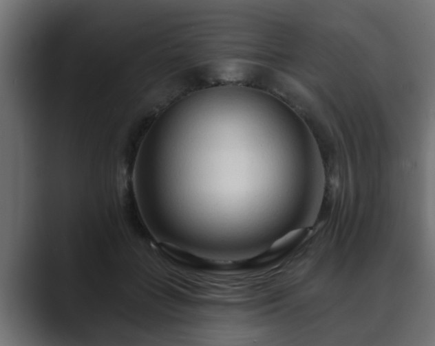 X0000089660555200706281323