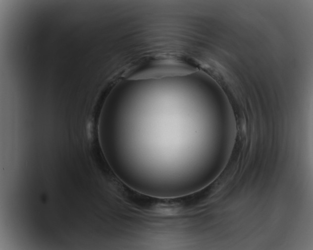 X0000089660556200706281323