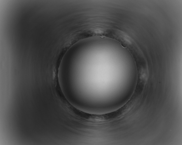 X0000089660559200706281323