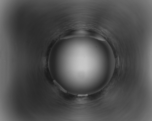 X0000089660560200706281323