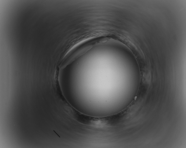 X0000089660561200706281323