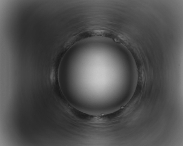 X0000089660562200706281323