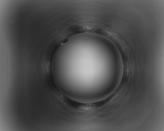 X0000089660563200706281323