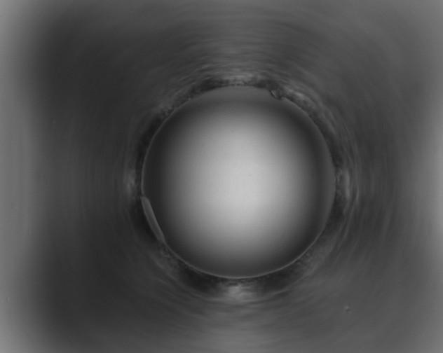 X0000089660564200706281323