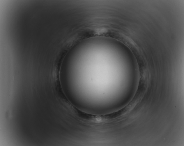 X0000089660565200706281323