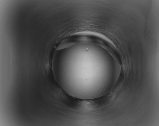 X0000089660566200706281323