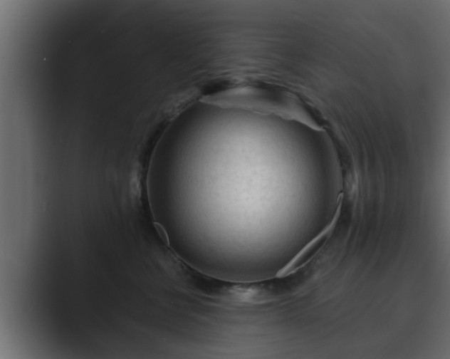X0000089660570200706281323