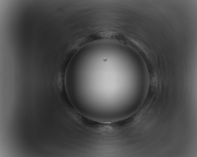 X0000089660572200706281323