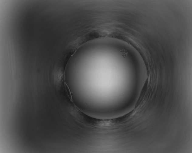 X0000089660574200706281323