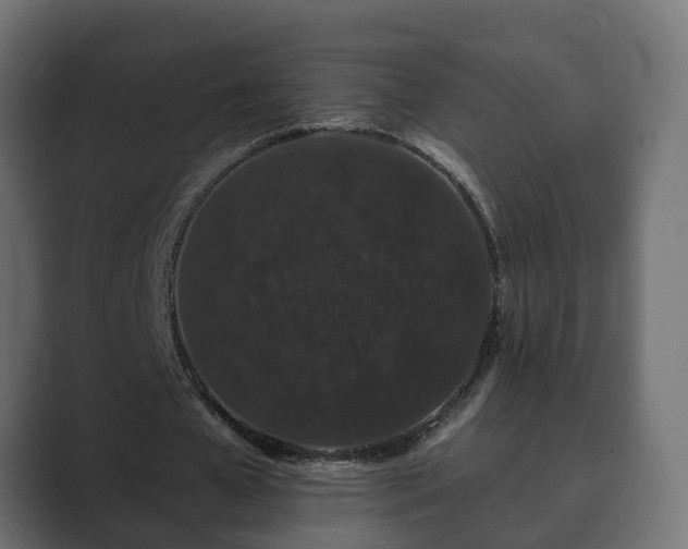 X0000089660577200706281323