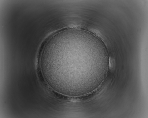 X0000089660579200706281323