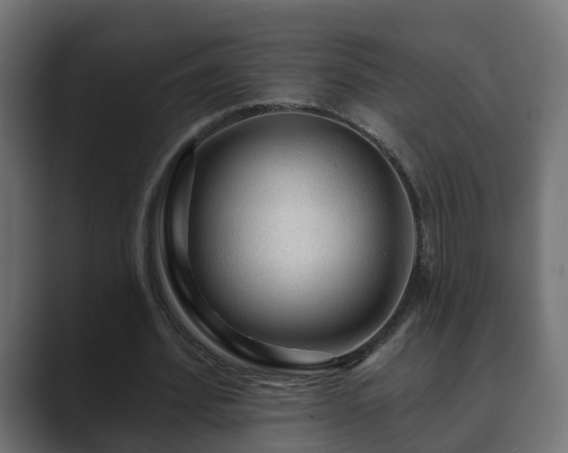 X0000089660580200706281323