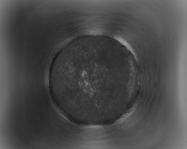 X0000089660581200706281323