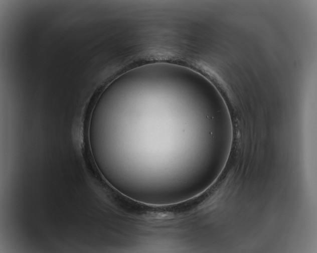 X0000089660582200706281323