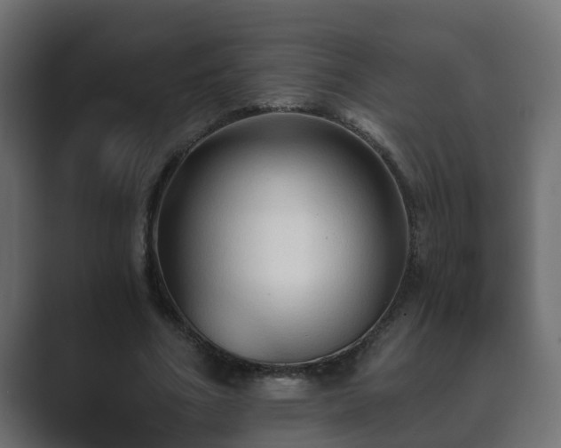 X0000089660586200706281323