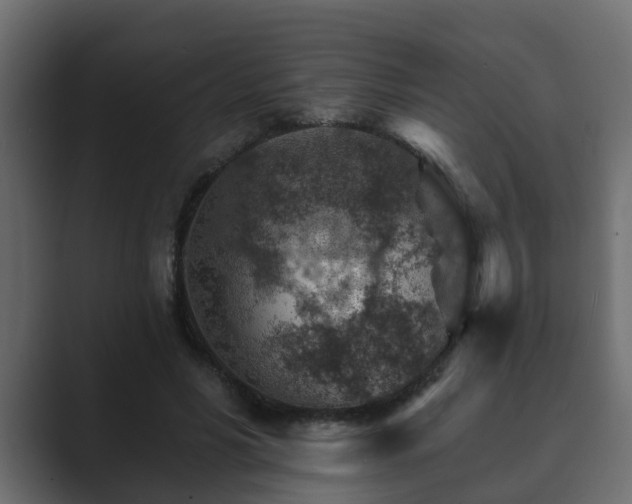 X0000089660590200706281323