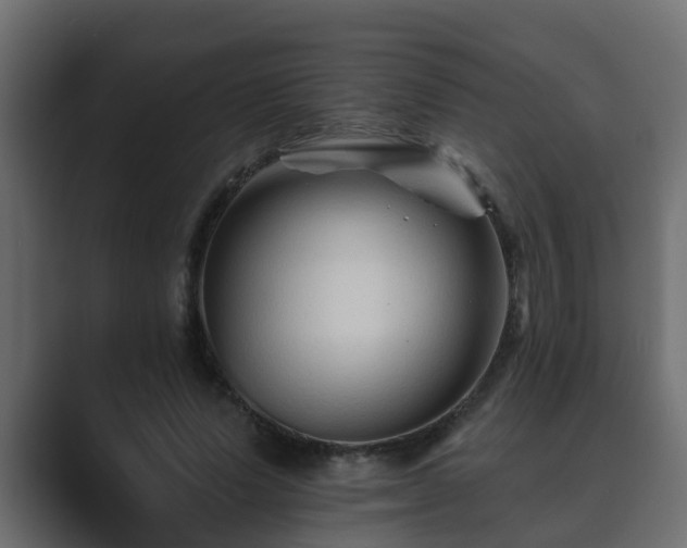 X0000089660591200706281323