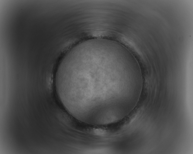 X0000089660592200706281323