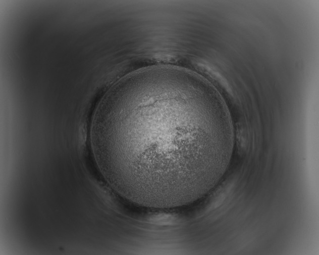 X0000089660593200706281323