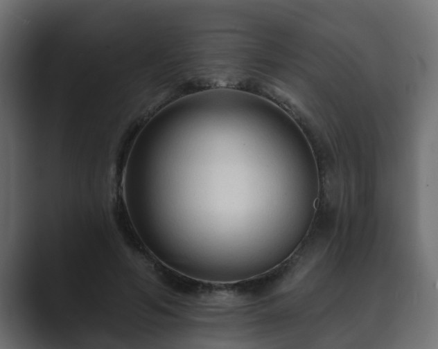 X0000089660594200706281322