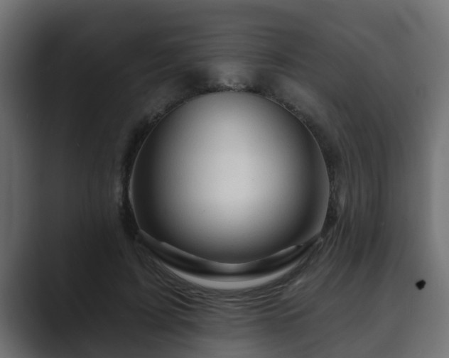 X0000089660595200706281322