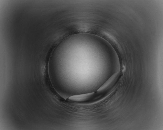 X0000089660596200706281322