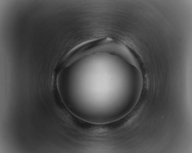 X0000089660597200706281322