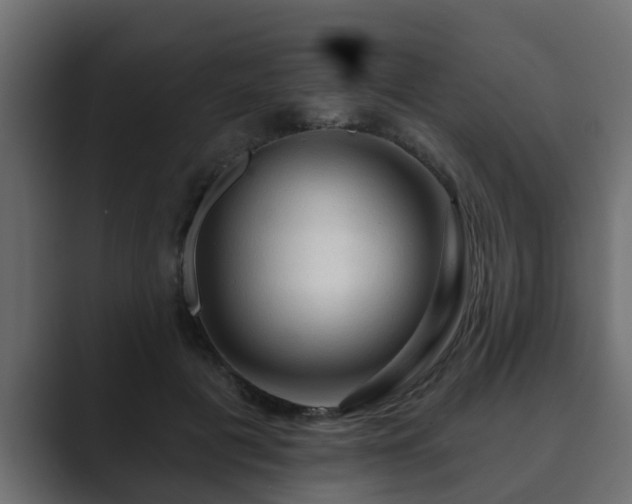 X0000089660601200706281322